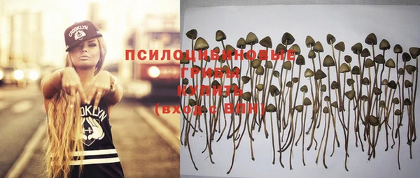 мяу мяу мука Михайловск
