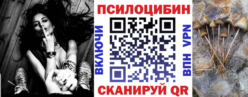 наркота  Сосенский  Псилоцибиновые грибы Psilocybine cubensis 