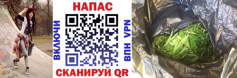 Канабис SATIVA & INDICA Сосенский